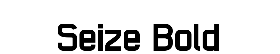 Seize Bold cкачати шрифт безкоштовно